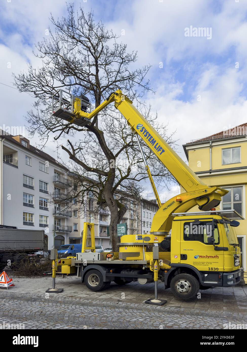 Travail des arbres, Koeniginstrasse, Munich, Bavière, Allemagne, Europe Banque D'Images