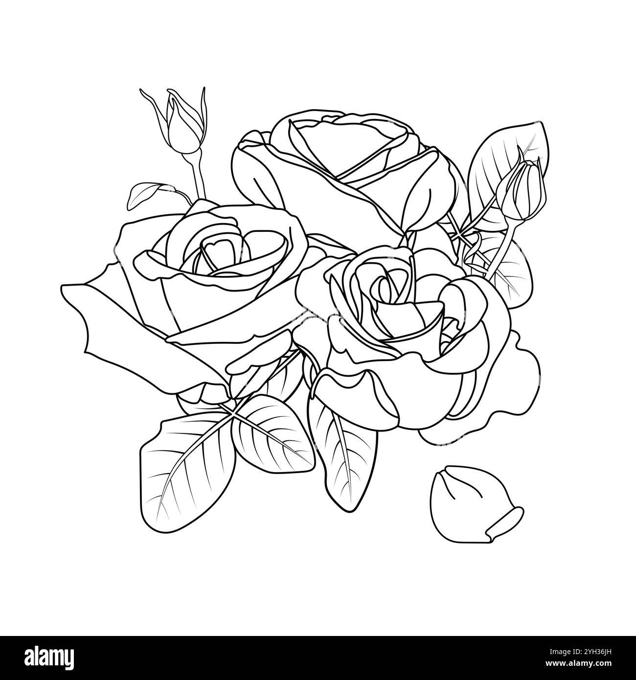 Composition décorative de roses florales. Contour isolé noir, trois roses entièrement ouvertes, des boutons, des feuilles et un pétale. Illustration claire. Illustration de Vecteur