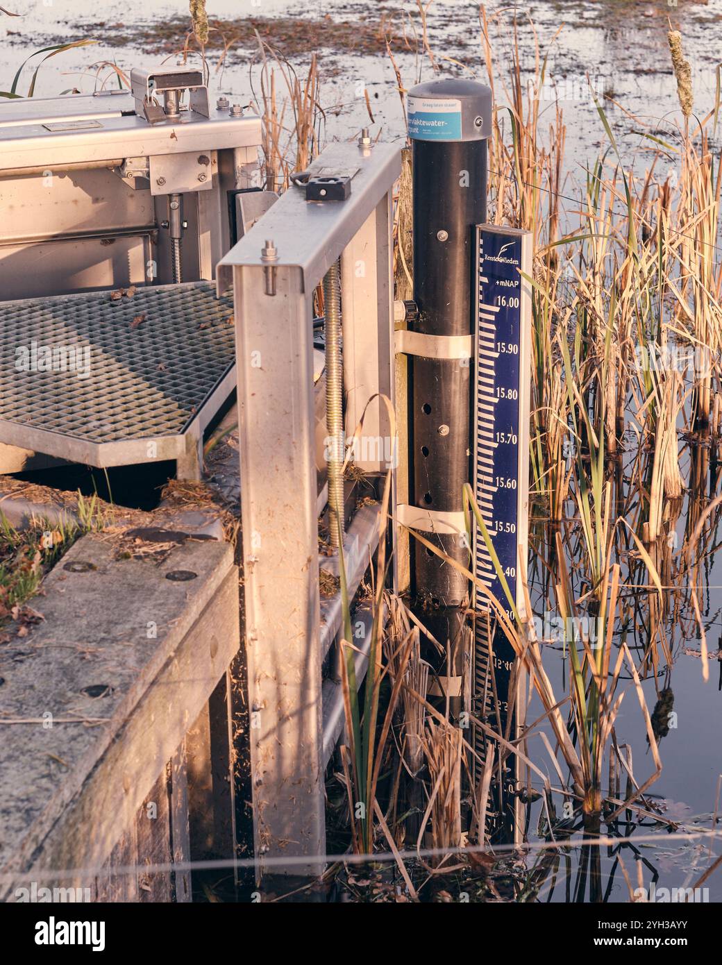 Écluse d'entrée d'eau avec jauge de niveau d'eau dans la réserve naturelle de Mantingerzand en Drenthe, montrant la végétation des zones humides et le système de gestion de l'eau. Banque D'Images