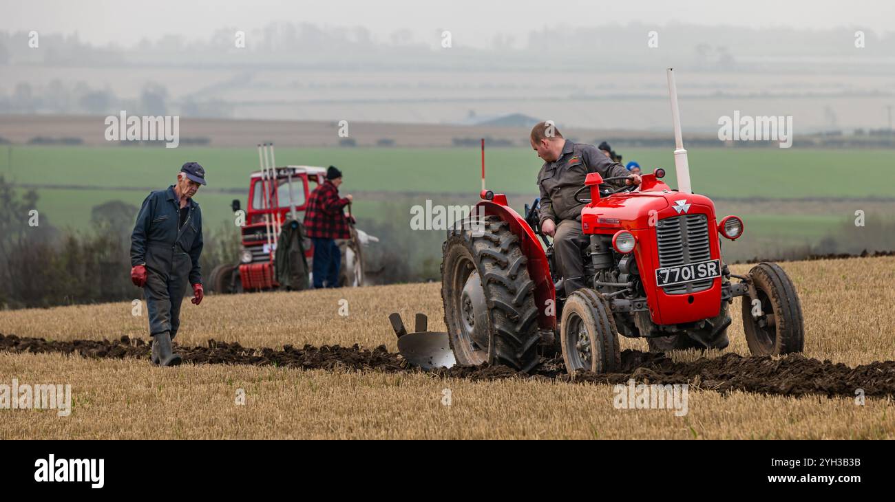East Lothian, Écosse, Royaume-Uni, 9 novembre 2024. 41e match annuel de labour des tracteurs : L'événement annuel de l'East Lothian Ploughing associations réunit les propriétaires de plus de 60 tracteurs d'époque - étonnamment peu d'agriculteurs - en compétition pour les sillons les plus droits de l'East main Farm cette année à Samuelston. Chaque patch est jugé et il ne devrait pas être possible d'identifier les passages individuels des lames dans la bande. Photo : tracteur Massey Ferguson d'époque qui laboure des sillons. Crédit : Sally Anderson/Alamy Live News Banque D'Images