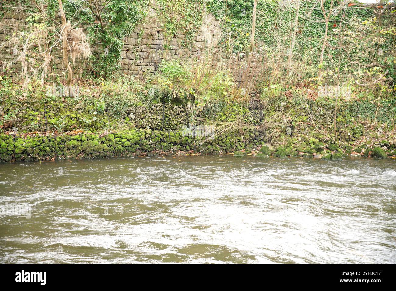 Rive de la rivière par une rivière qui coule rapidement Banque D'Images