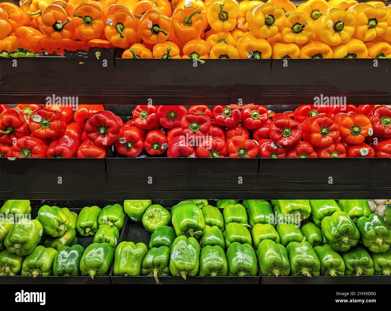 Poivrons frais entiers mûrs et colorés, orange, rouge et vert Banque D'Images