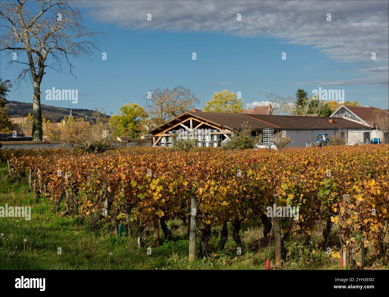 Puligny-Montrachet, Côte d'Or, Bourgogne, France - 27 octobre 2024 - regard à travers le vignoble à une cave et des réservoirs partiellement extérieurs pour fermenta Banque D'Images Puligny-Montrachet, Côte d'Or, Bourgogne, France - 27 octobre 2024 - regard à travers le vignoble à une cave et des réservoirs partiellement extérieurs pour fermenta Banque D'Images
