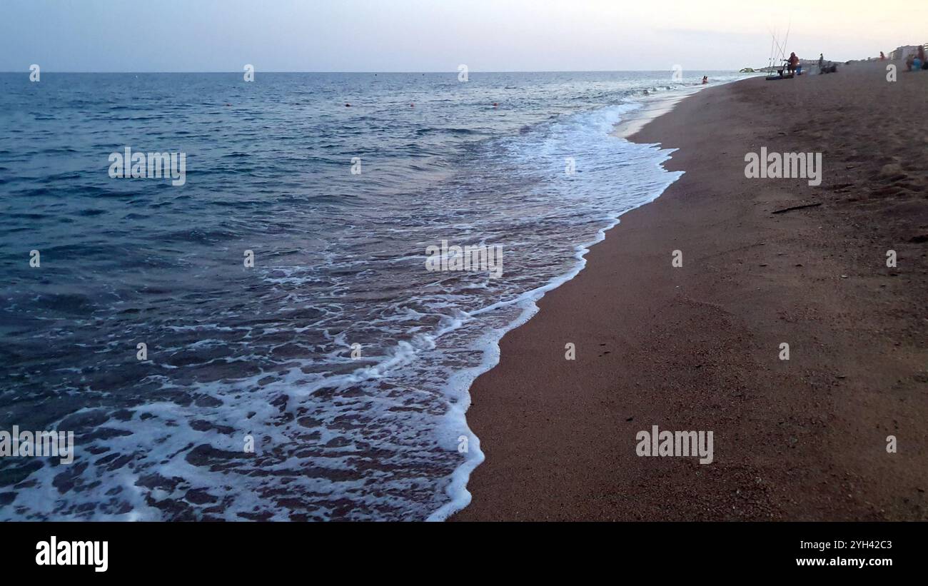 Marcher sur le sable près de l'eau sur la plage de la mer. Banque D'Images