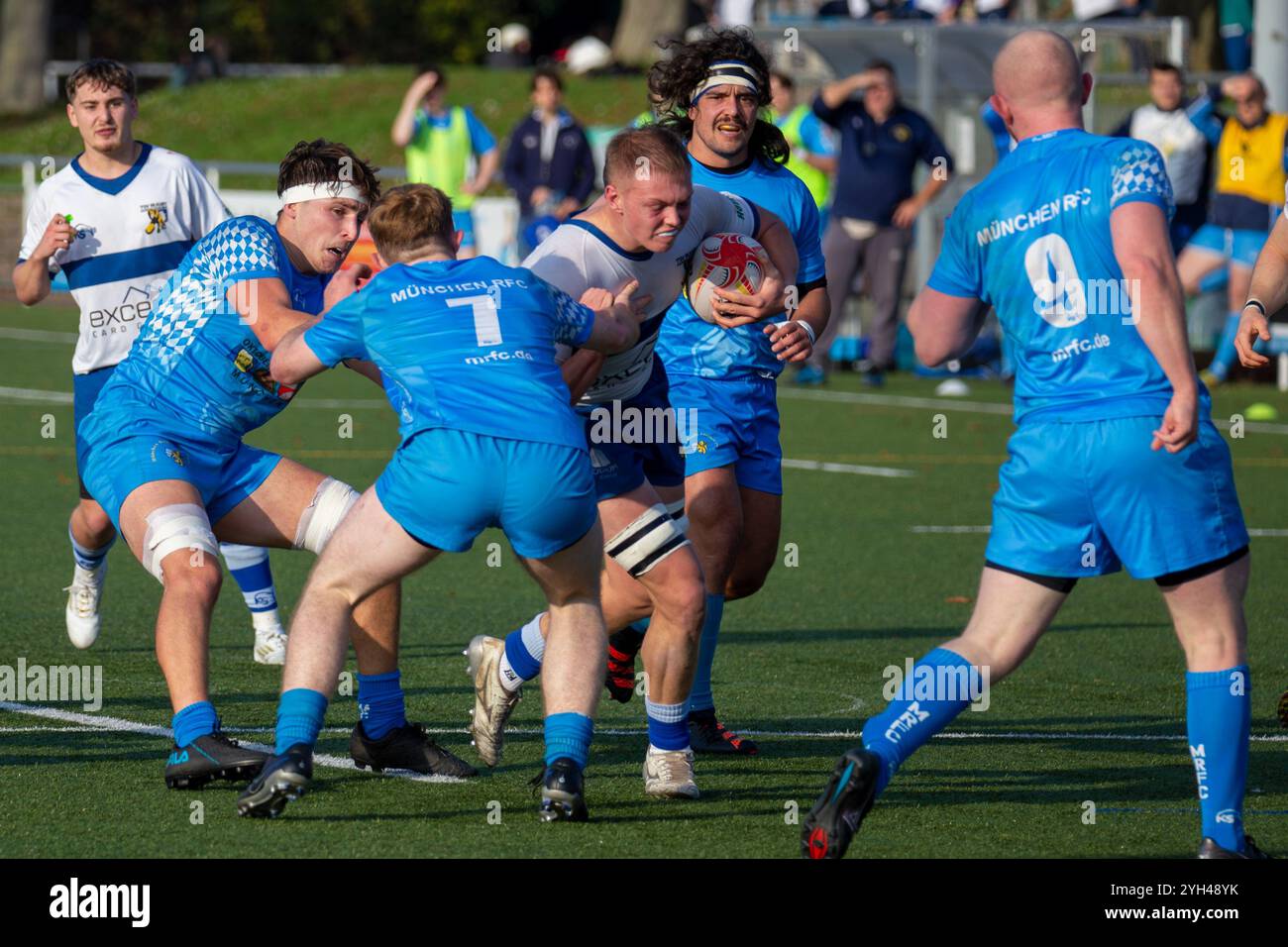 09.11.2024, Rugby 1. Bundesliga Süd/West, saison 2024/25, 7. Spieltag : TSV Handschuhsheim gegen München RFC Banque D'Images