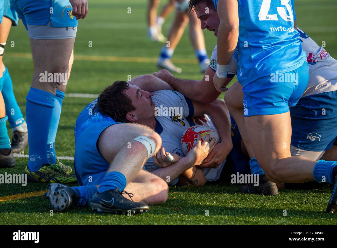 09.11.2024, Rugby 1. Bundesliga Süd/West, saison 2024/25, 7. Spieltag : TSV Handschuhsheim gegen München RFC Banque D'Images