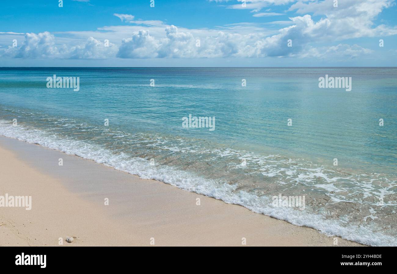 Plage tropicale sur l'atoll d'Astove, Seychelles. Banque D'Images