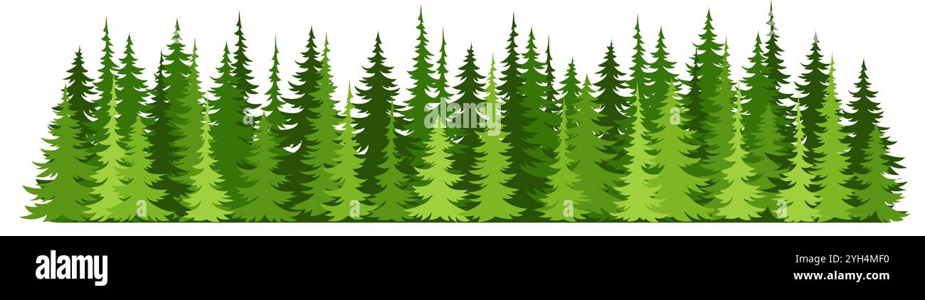 Silhouette de sapins forestiers. Fond horizontal d'épinette de conifères. Panorama des arbres forestiers Illustration de Vecteur