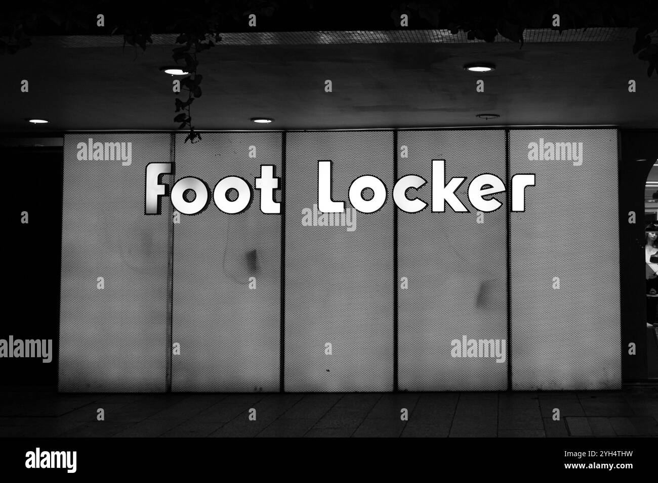 Eilat, Israël- 10 mai 2024 : casier à pieds, un détaillant de vêtements de sport et de chaussures grand panneau de magasin de néon allumé la nuit Banque D'Images