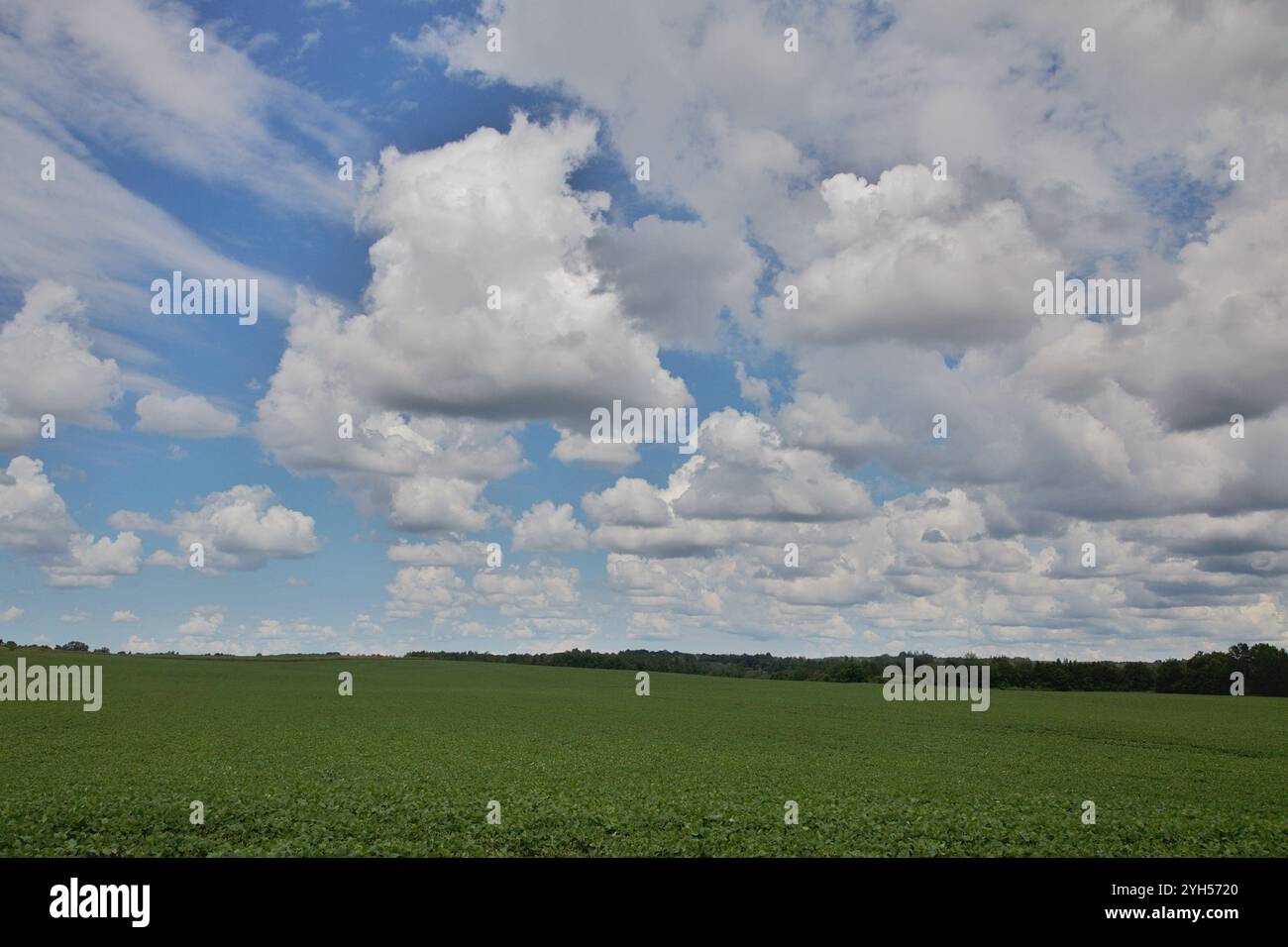 Des nuages moelleux comme les Simpson Banque D'Images