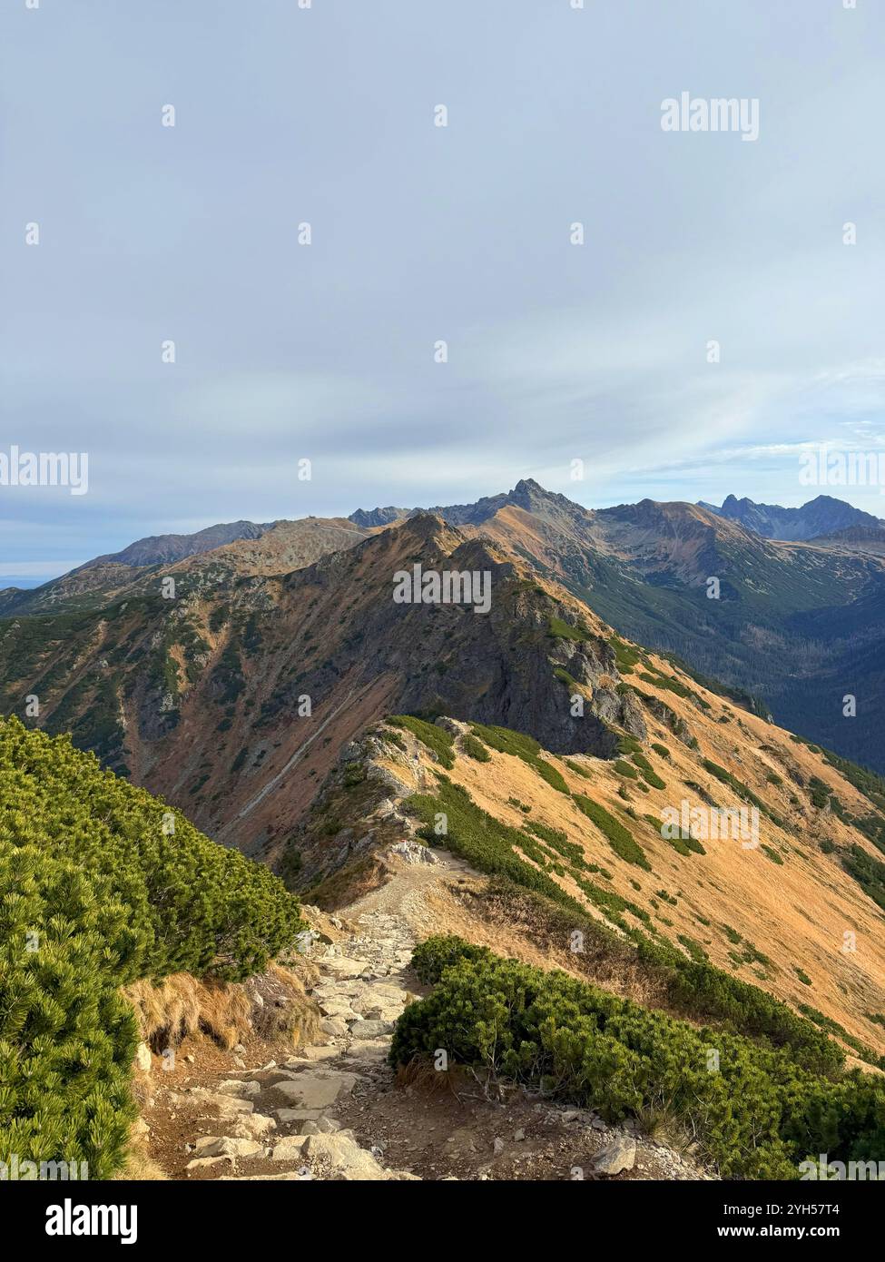 Vues de Kopa Kondracka vers les Tatras slovaques, Slovaquie, révélant de vastes paysages alpins et des sommets lointains Banque D'Images