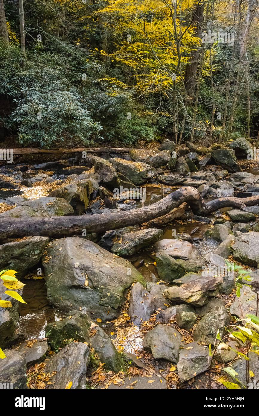 Mud Creek juste en dessous de Mud Creek Falls en automne à Sky Valley dans le nord-est de la Géorgie. (ÉTATS-UNIS) Banque D'Images