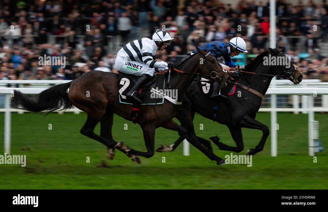 Kajikia et le jockey Jay Tidball remportent le butoir final à l’hippodrome d’Ascot, samedi 2 novembre 2024. Crédit JTW Equine images / Alamy. Banque D'Images