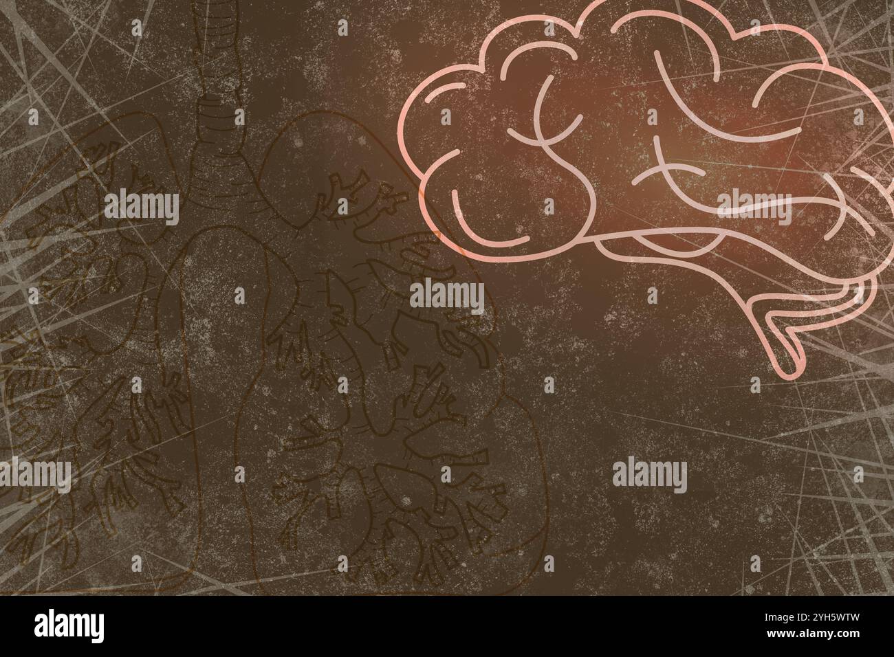 Illustrations du cerveau humain et des poumons sur fond brun Banque D'Images