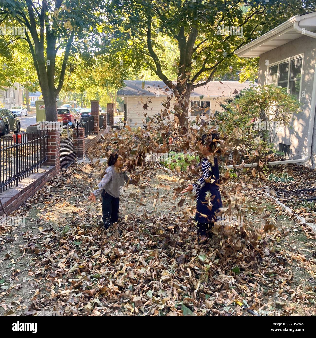 Les frères et sœurs jouent dans les feuilles dans leur cour au Minnesota, États-Unis. Banque D'Images
