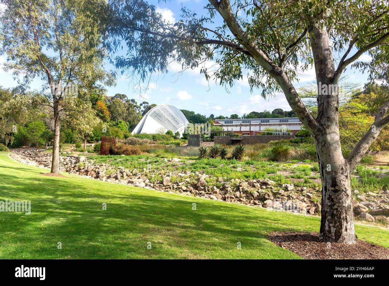 Bicentennial Conservatory from National Wine Centre of Australia , Adelaide Botanic Garden, North Terrace, Adélaïde, Australie du Sud, Australie Banque D'Images