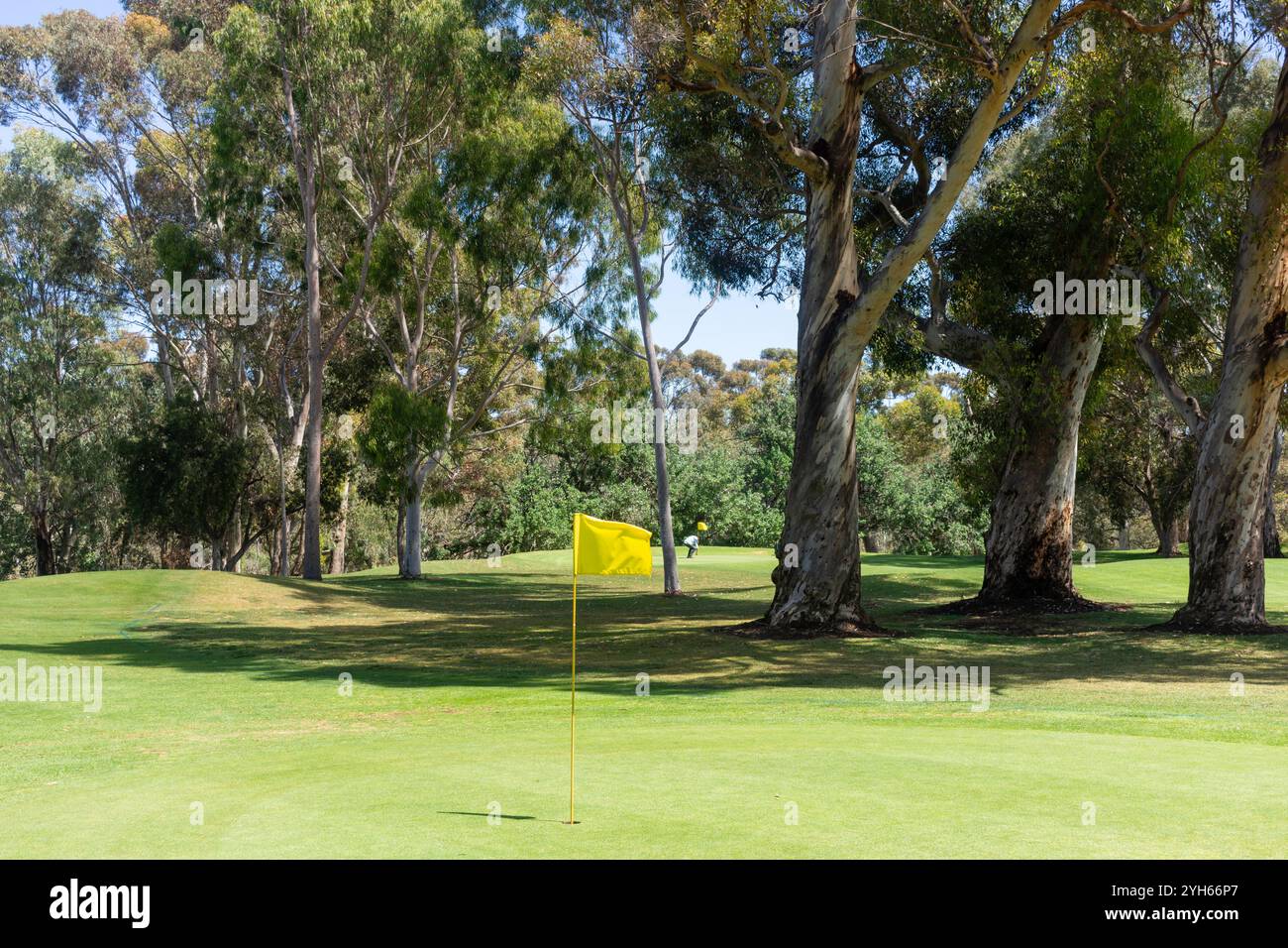 North Adelaide Golf Club, War Memorial Drive, Adélaïde, Australie méridionale, Australie Banque D'Images