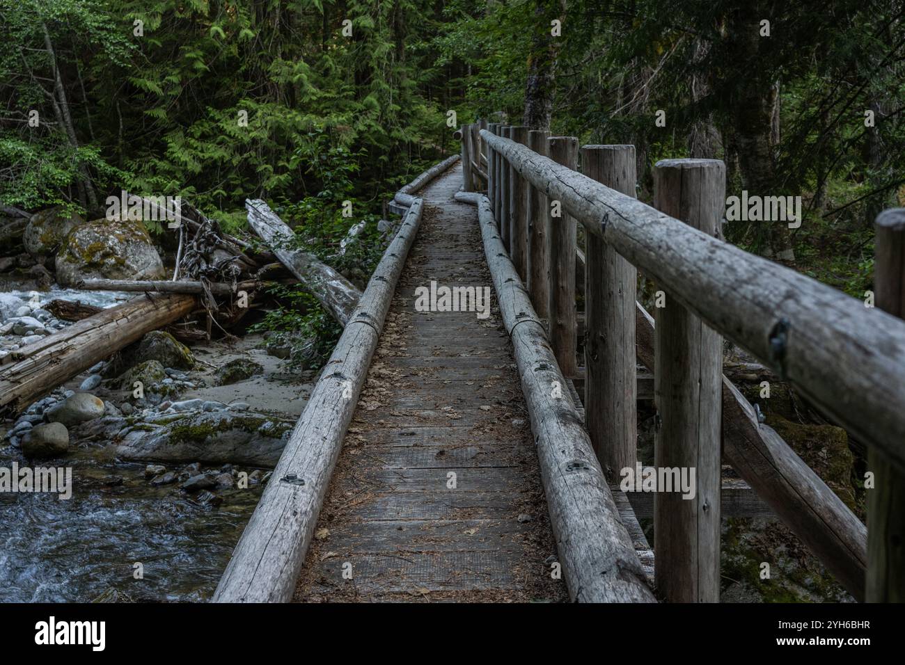 Pont long Log au-dessus de Panther Creek dans le parc national North Cascades Banque D'Images