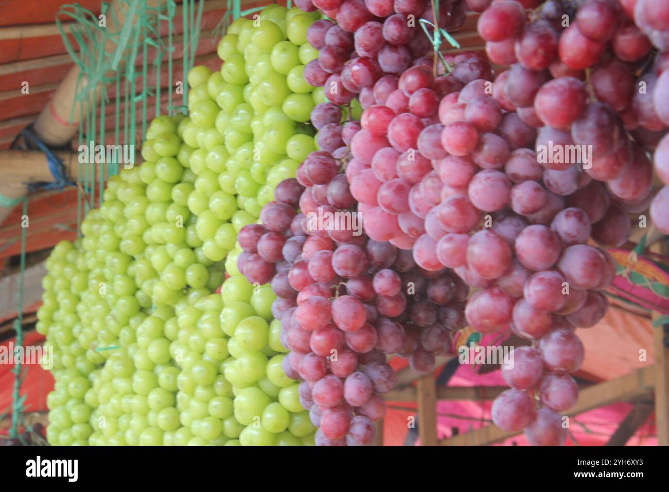 Des raisins pendent dans le magasin de fruits Banque D'Images