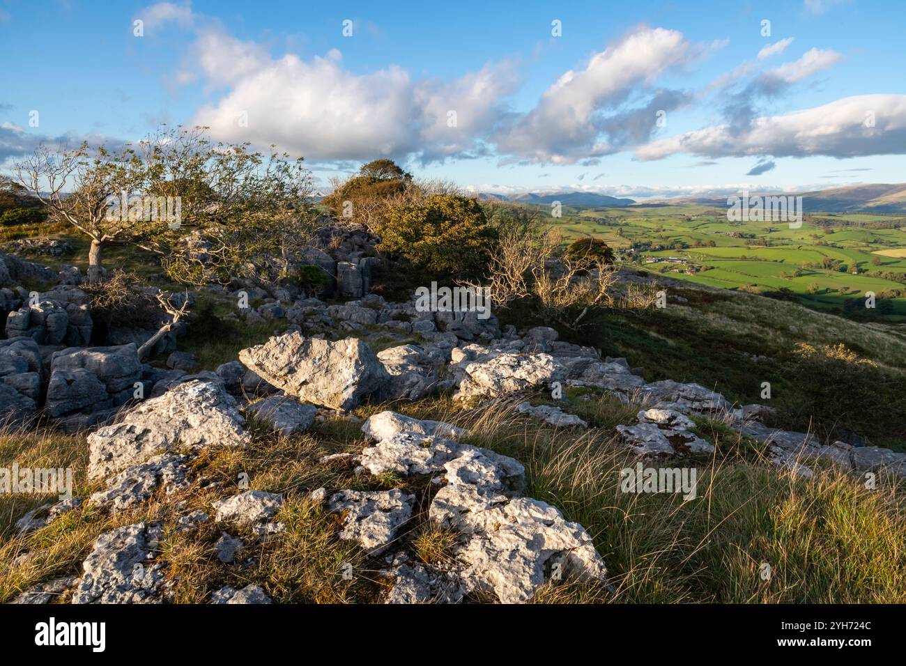 Zone de chaussée calcaire à Newbiggin Crags près de Burton-in-Kendal, Cumbria, Angleterre. Banque D'Images