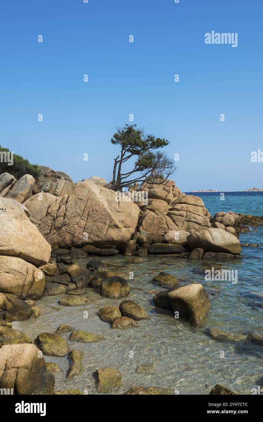 Plage pittoresque avec des rochers de granit, Spiaggia Di Capriccioli, Costa Smeralda, Sardaigne, Italie, Europe Banque D'Images Plage pittoresque avec des rochers de granit, Spiaggia Di Capriccioli, Costa Smeralda, Sardaigne, Italie, Europe Banque D'Images