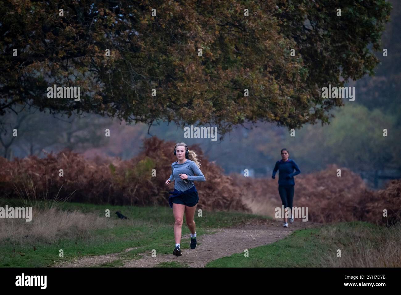 Londres, Royaume-Uni. 10 novembre 2024. Météo britannique – coureurs s'exerçant dans le parc Richmond sous un épais nuage bas. Les prévisions sont pour le temps exceptionnellement sombre de se dégager avec le soleil pour revenir la semaine prochaine. Credit : Stephen Chung / Alamy Live News Banque D'Images