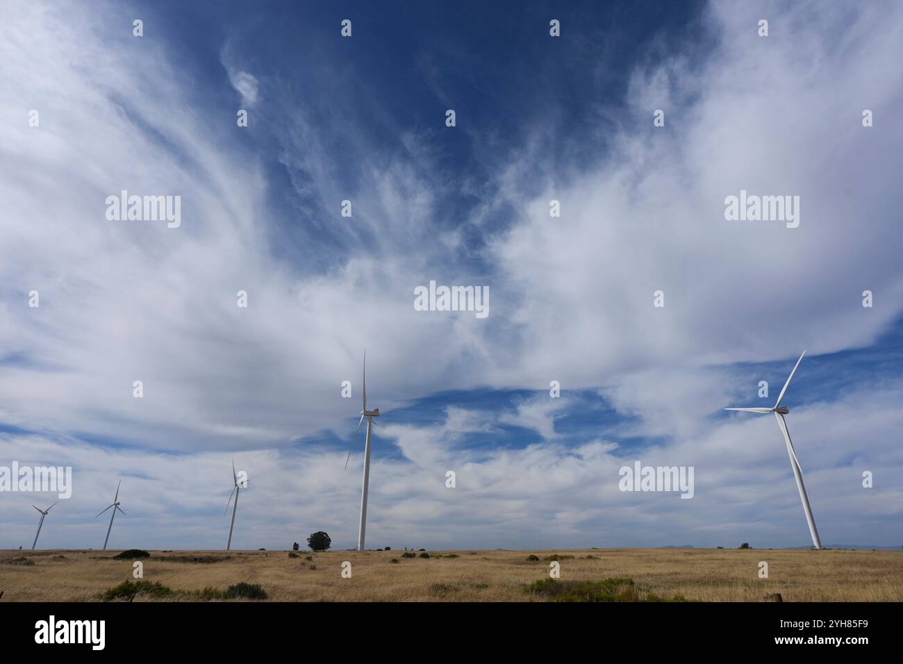 Production d'énergie renouvelable en Afrique du Sud turbines éoliennes sur le parc éolien Darling à l'extérieur du Cap, Afrique du Sud, 8 novembre 2024. Le paysage des énergies renouvelables en Afrique du Sud a connu des développements majeurs récemment, avec des initiatives visant à réduire sa forte dépendance au charbon, qui fournit actuellement plus de 70 % de l électricité du pays. Le gouvernement a approuvé un plan d’investissement pour une transition énergétique juste JET IP, qui définit une stratégie quinquennale pour accroître la capacité d’énergie renouvelable, l’hydrogène vert et les industries des véhicules électriques. Cette transition devrait faciliter la croissance économique Banque D'Images