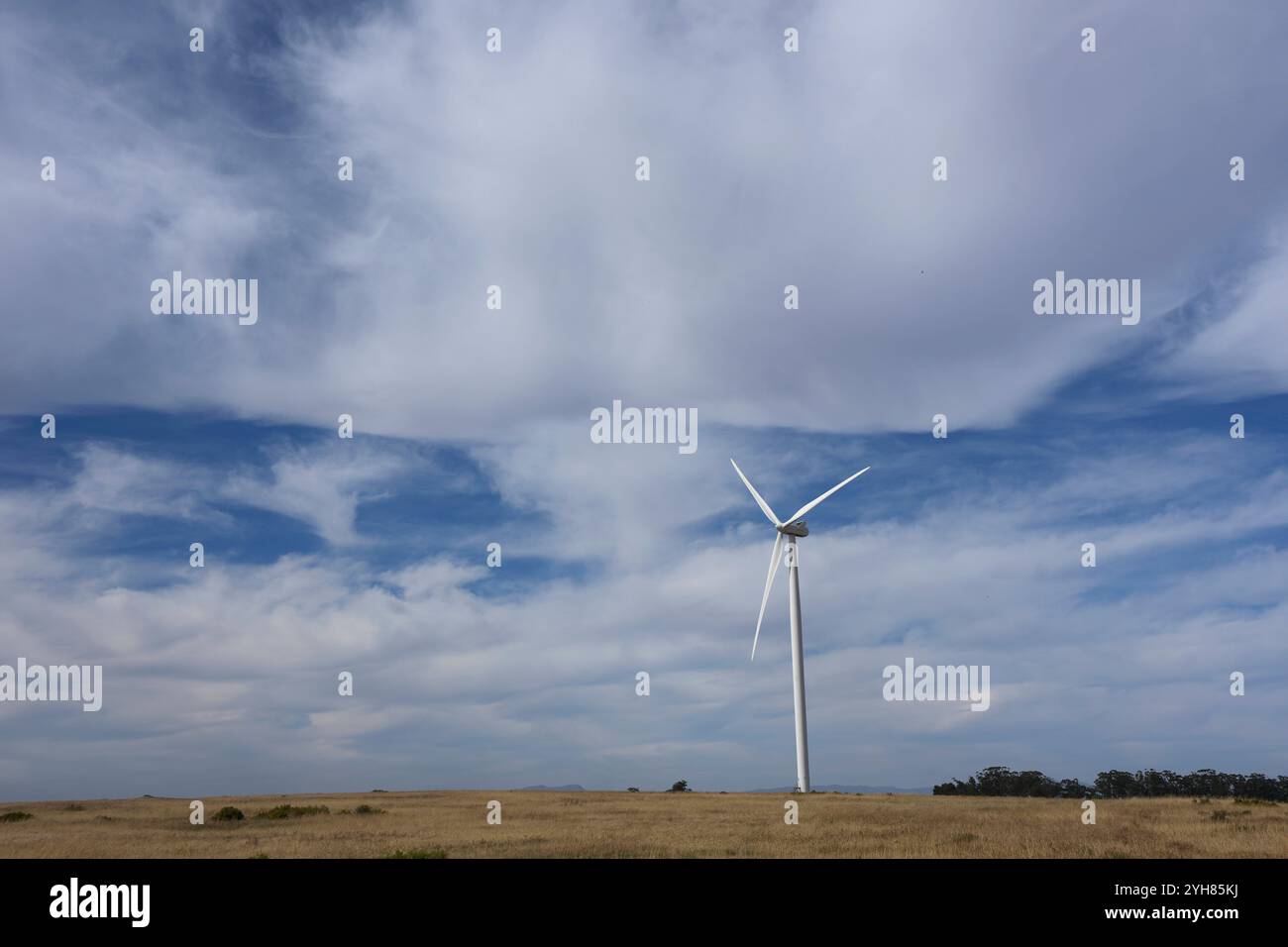 Production d'énergie renouvelable en Afrique du Sud Une éolienne sur le parc éolien Darling à l'extérieur du Cap, Afrique du Sud, 8 novembre 2024. Le paysage des énergies renouvelables en Afrique du Sud a connu des développements majeurs récemment, avec des initiatives visant à réduire sa forte dépendance au charbon, qui fournit actuellement plus de 70 % de l électricité du pays. Le gouvernement a approuvé un plan d’investissement pour une transition énergétique juste JET IP, qui définit une stratégie quinquennale pour accroître la capacité d’énergie renouvelable, l’hydrogène vert et les industries des véhicules électriques. Cette transition devrait faciliter la croissance économique Banque D'Images