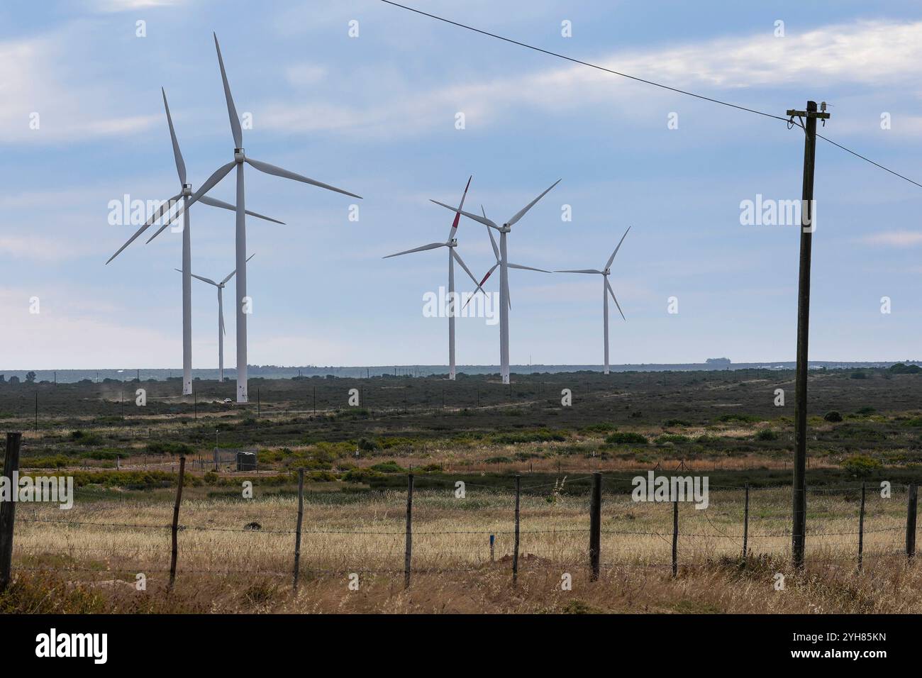 Production d'énergie renouvelable en Afrique du Sud turbines éoliennes sur le parc éolien Darling à l'extérieur du Cap, Afrique du Sud, 8 novembre 2024. Le paysage des énergies renouvelables en Afrique du Sud a connu des développements majeurs récemment, avec des initiatives visant à réduire sa forte dépendance au charbon, qui fournit actuellement plus de 70 % de l électricité du pays. Le gouvernement a approuvé un plan d’investissement pour une transition énergétique juste JET IP, qui définit une stratégie quinquennale pour accroître la capacité d’énergie renouvelable, l’hydrogène vert et les industries des véhicules électriques. Cette transition devrait faciliter la croissance économique Banque D'Images