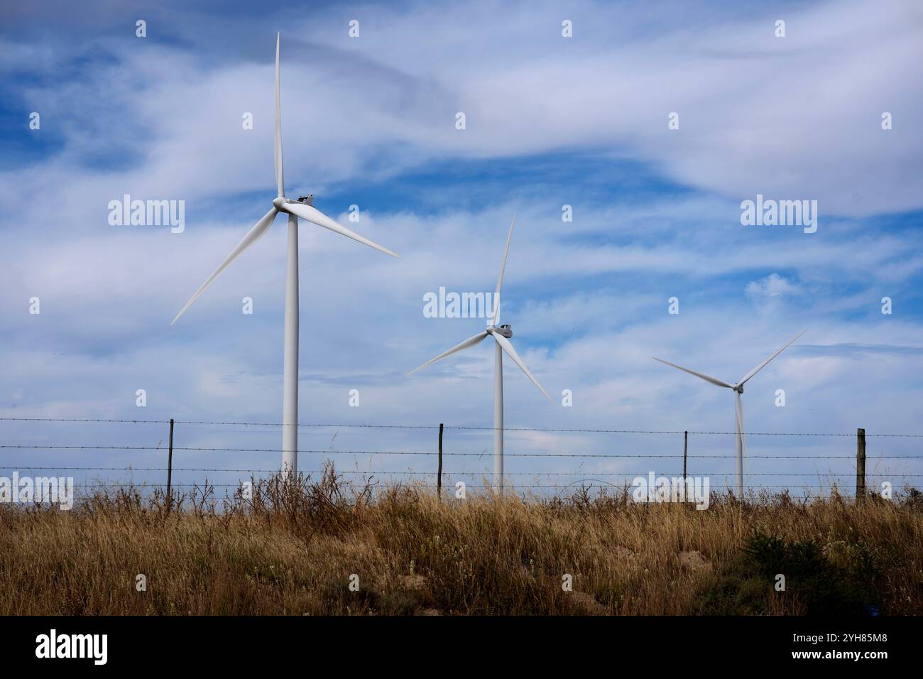Production d'énergie renouvelable en Afrique du Sud turbines éoliennes sur le parc éolien Darling à l'extérieur du Cap, Afrique du Sud, 8 novembre 2024. Le paysage des énergies renouvelables en Afrique du Sud a connu des développements majeurs récemment, avec des initiatives visant à réduire sa forte dépendance au charbon, qui fournit actuellement plus de 70 % de l électricité du pays. Le gouvernement a approuvé un plan d’investissement pour une transition énergétique juste JET IP, qui définit une stratégie quinquennale pour accroître la capacité d’énergie renouvelable, l’hydrogène vert et les industries des véhicules électriques. Cette transition devrait faciliter la croissance économique Banque D'Images
