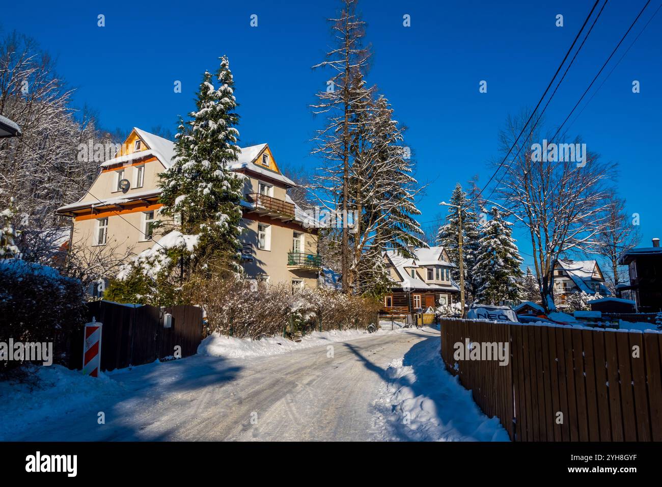 Vue hivernale enneigée des rues et des pins à Zakopane, Pologne Banque D'Images