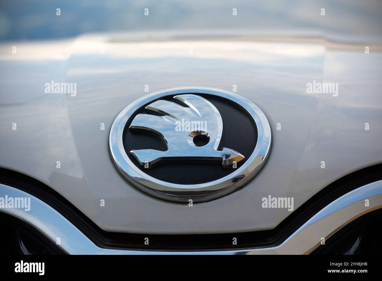 Prague, République tchèque - 29 octobre 2024 : détail du logo de la marque Skoda (flèche ailée argentée sur fond noir) sur une voiture Octavia blanche. Banque D'Images