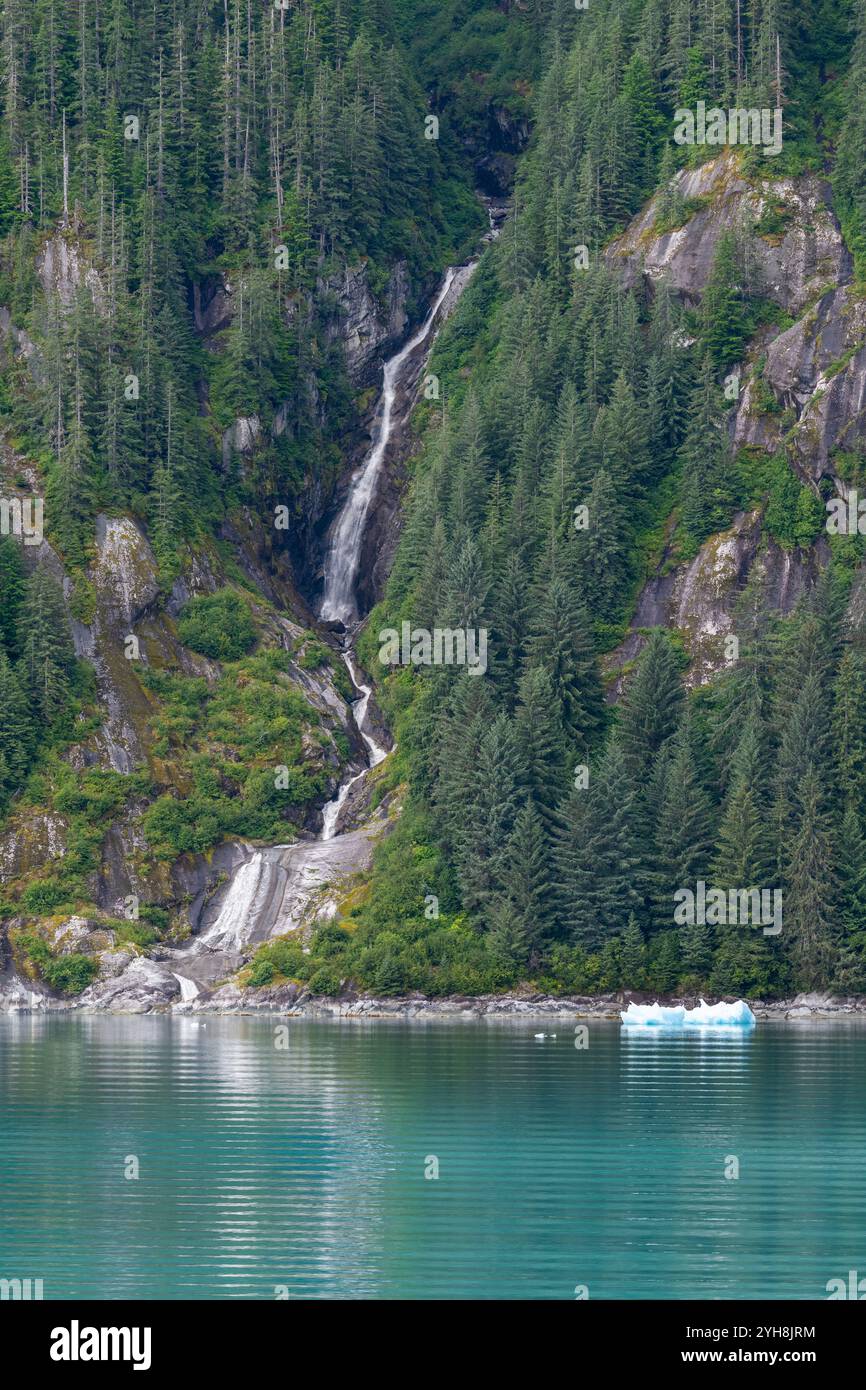 Alaska, Tongas Forest, Tracy Arm. Banque D'Images