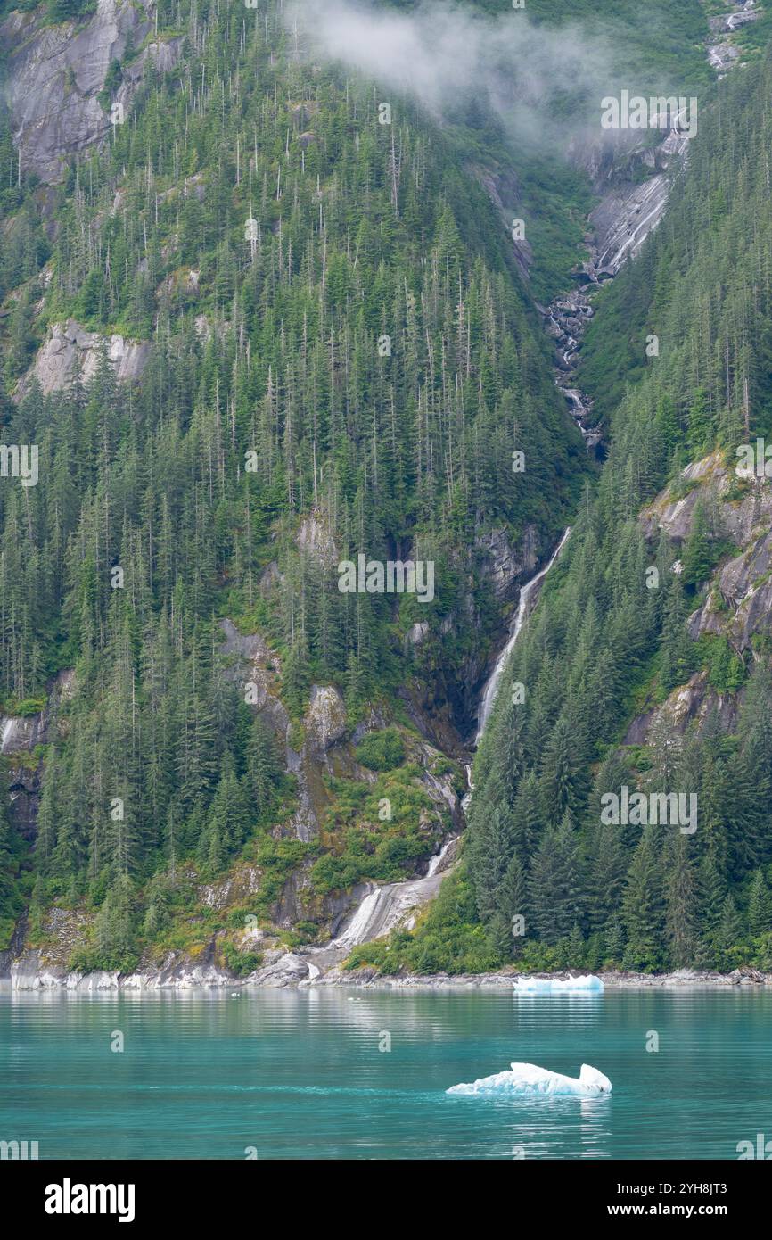 Alaska, Tongas Forest, Tracy Arm. Banque D'Images