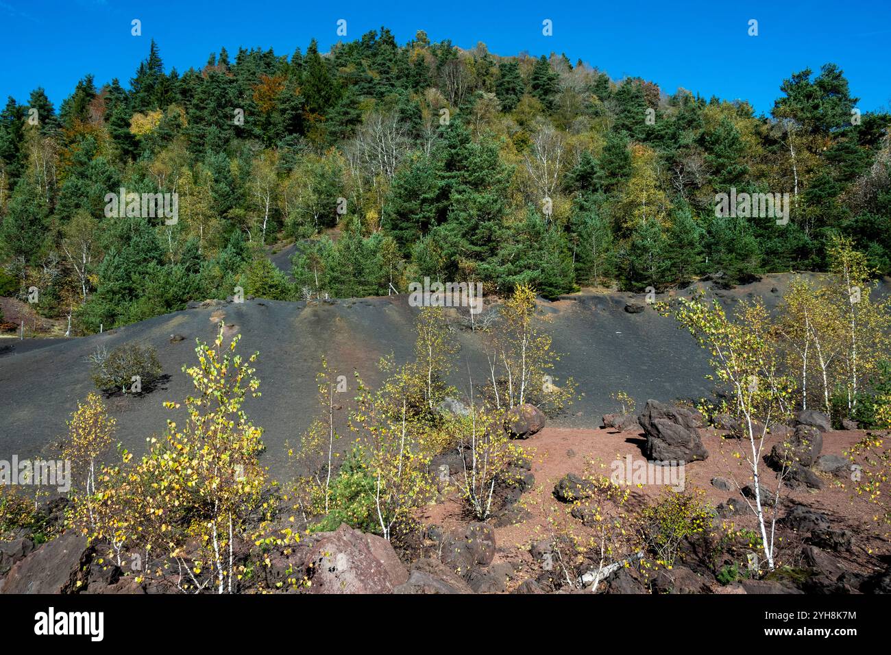 Parc naturel régional des volcans d'Auvergne. Ancienne carrière volcanique du Puy de la vache. Puy de Dome. Auvergne-Rhône-Alpes. France Banque D'Images