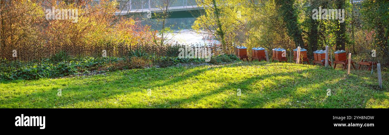 Vue panoramique automnale d'un paysage de parc avec des ruches près du pont de nénuphars à Tulln, Autriche Banque D'Images