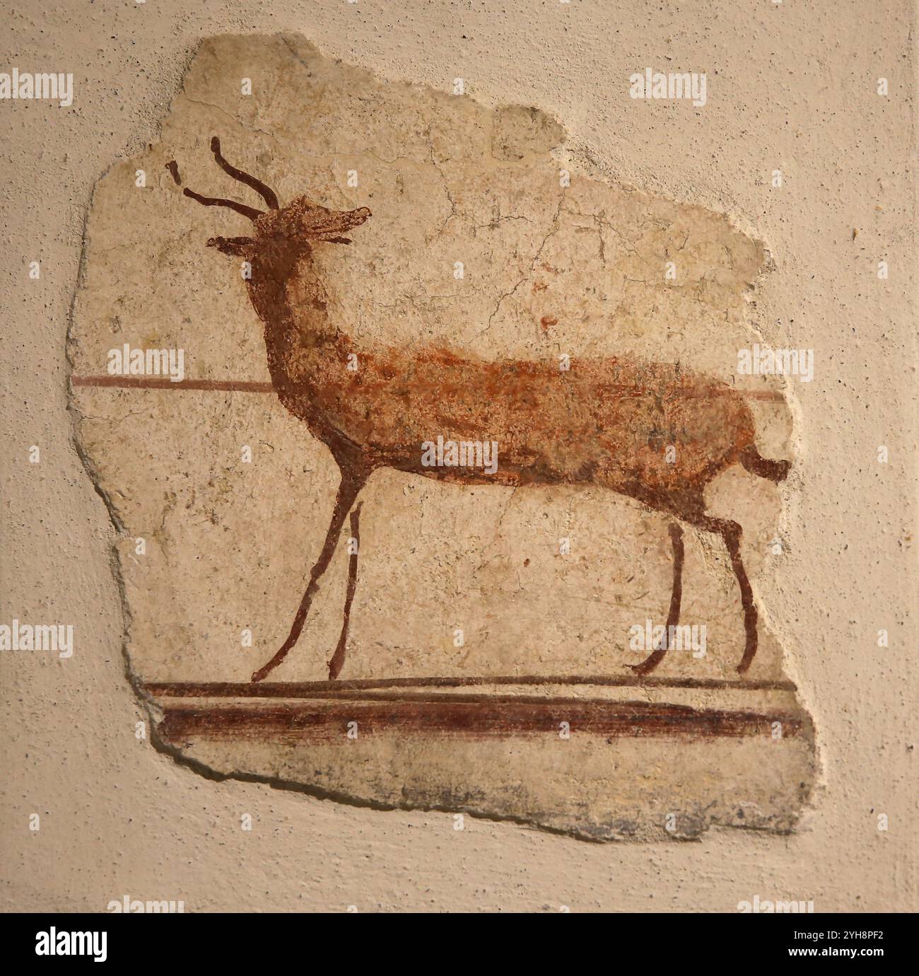 Fragment avec des représentations de bouillie. Âge impérial. Peinture romaine. Musée national romain (Thermes de Dioclétien). Rome. Italie. Banque D'Images