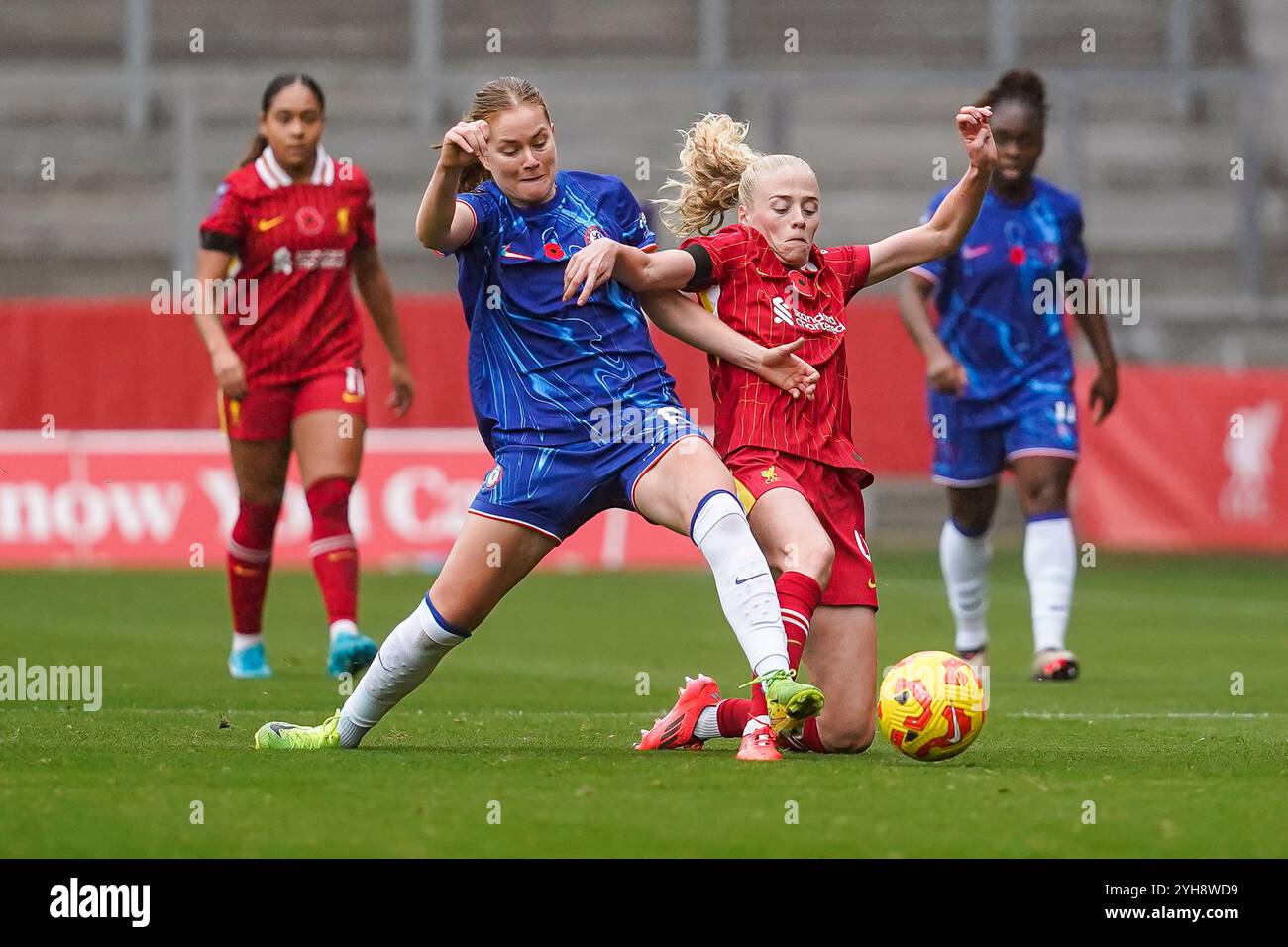 St Helens, Royaume-Uni. Dimanche 10 novembre 2024, Barclays Women’s Super League : Liverpool FC Women vs Chelsea FC Women au St Helens Stadium. Sjoeke Nüsken & Grace Fisk défi pour le ballon. Crédit James Giblin/Alamy Live News. Banque D'Images