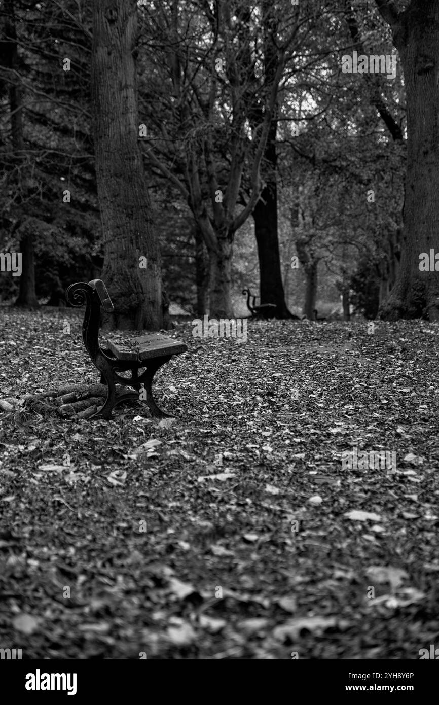 Banc de parc d'automne Banque D'Images
