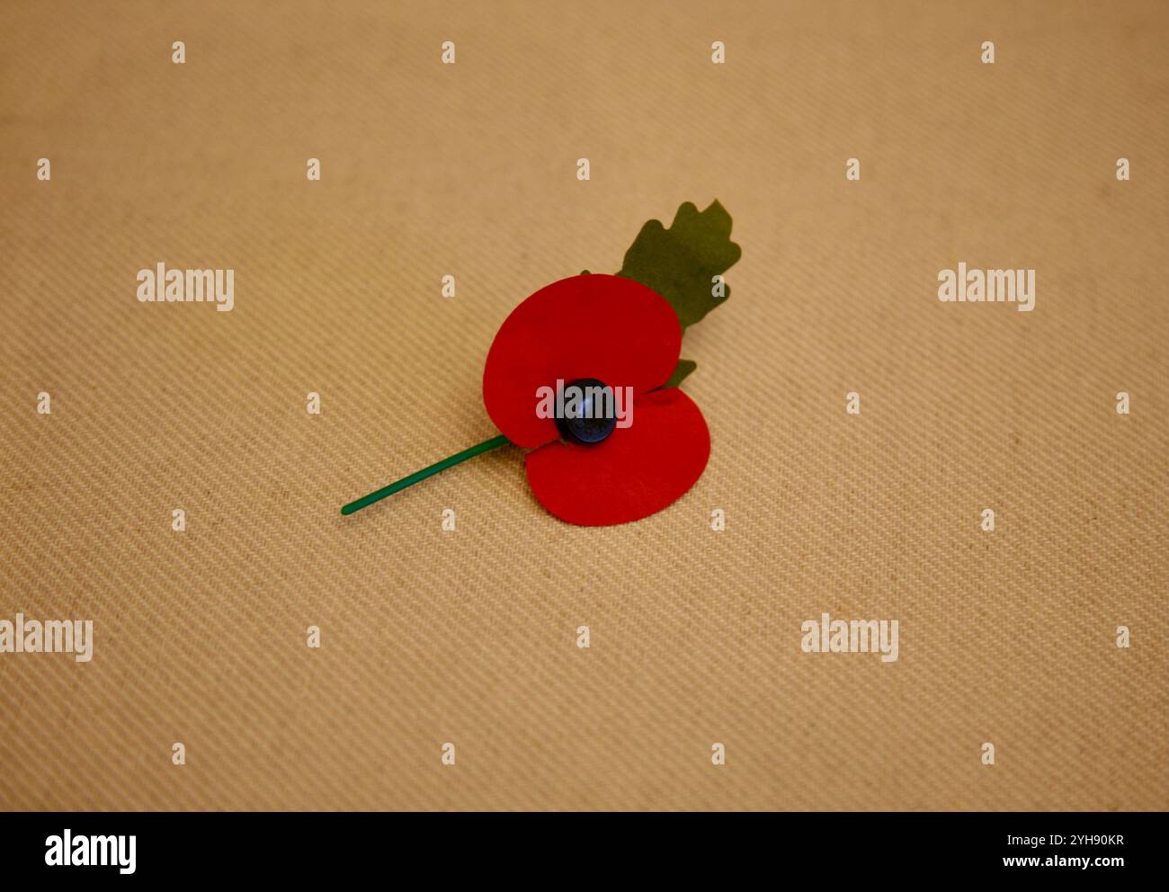 Un coquelicot sur le tapis Banque D'Images