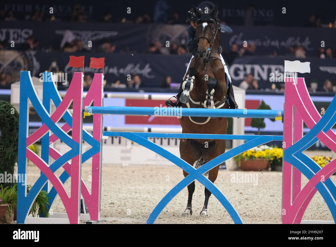 Vérone, Italie. 10 novembre 2024. Jennifer Hochstaedter Riding Golden Lady en action lors du CSI5*- W Longines FEI Jumping World Cup 2024 Gran Prix présenté par KASK, à Pala Fimauto le 10 novembre 2024, Vérone, Italie. Crédit : Roberto Tommasini/Alamy Live News Banque D'Images