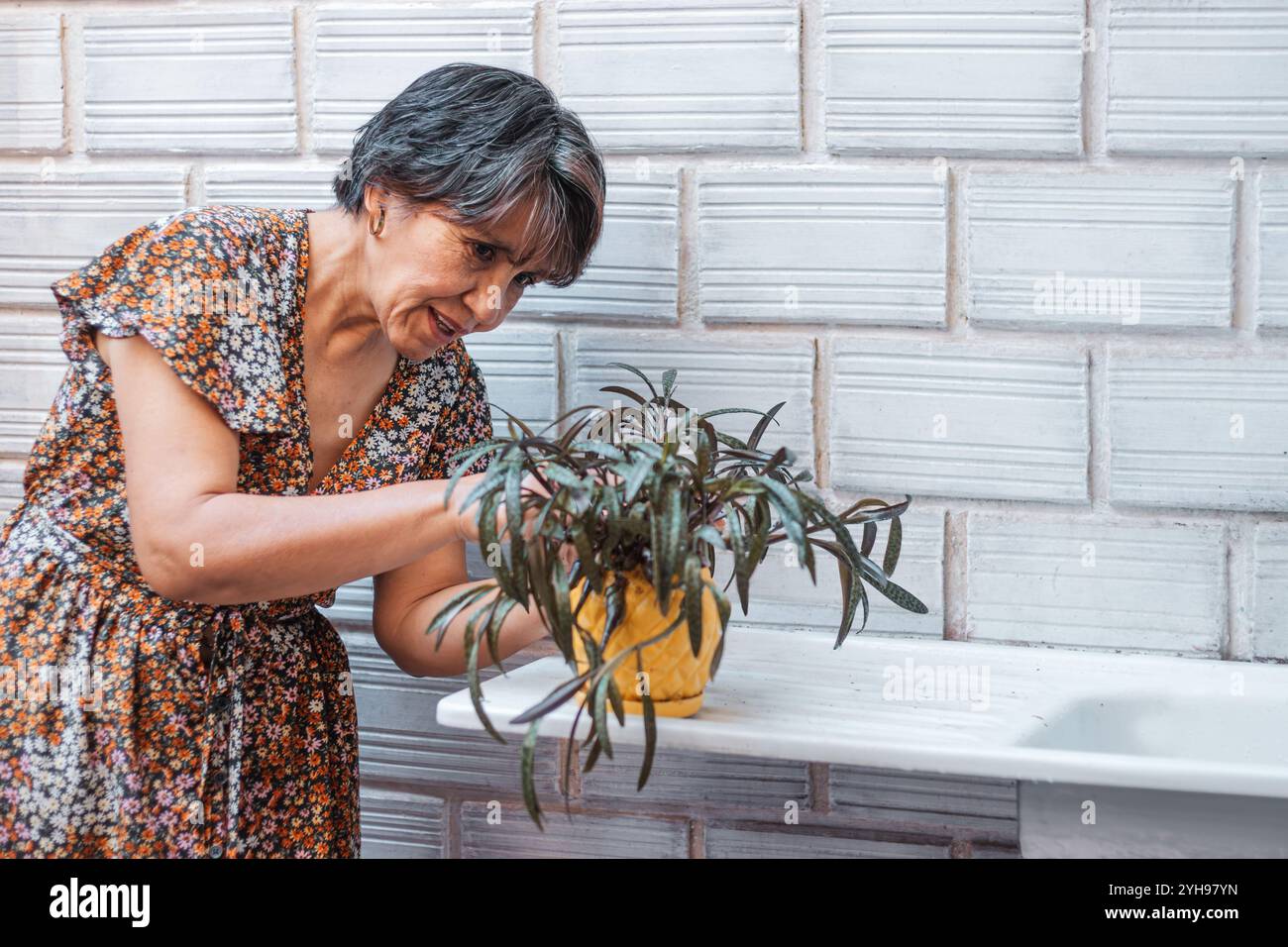 Une femme âgée portant une robe florale inspecte sa plante en pot à l'extérieur. Elle semble satisfaite, fière de ses soins et de son attention à son jardin. Banque D'Images