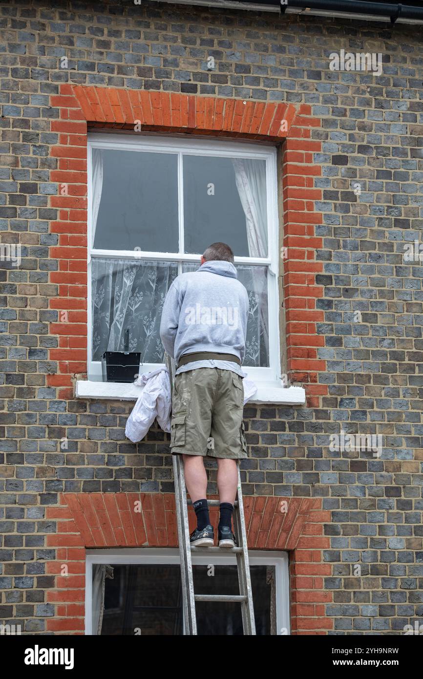 homme debout au sommet d'une échelle peignant des fenêtres à guillotine traditionnelles, peintre travaillant en hauteur au sommet d'une échelle en extension peignant une fenêtre. Banque D'Images