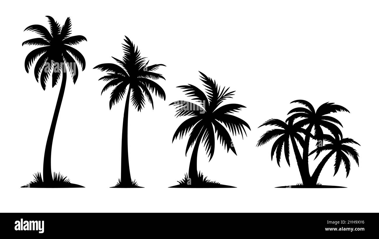 Icône de noix de coco noire de palmier. Palmetto Beach Black Summer Palm Tree hawaii icône vectorielle. Illustration de Vecteur