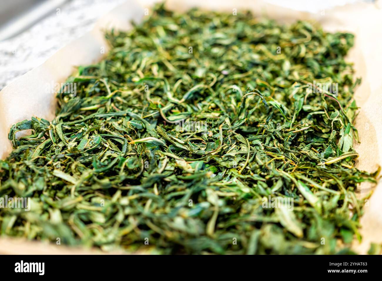 Willowherb Herb feuilles de fireweed pour l'usine de thé appelé Ivan Chai en Russie dans un plateau après séchage au four Banque D'Images