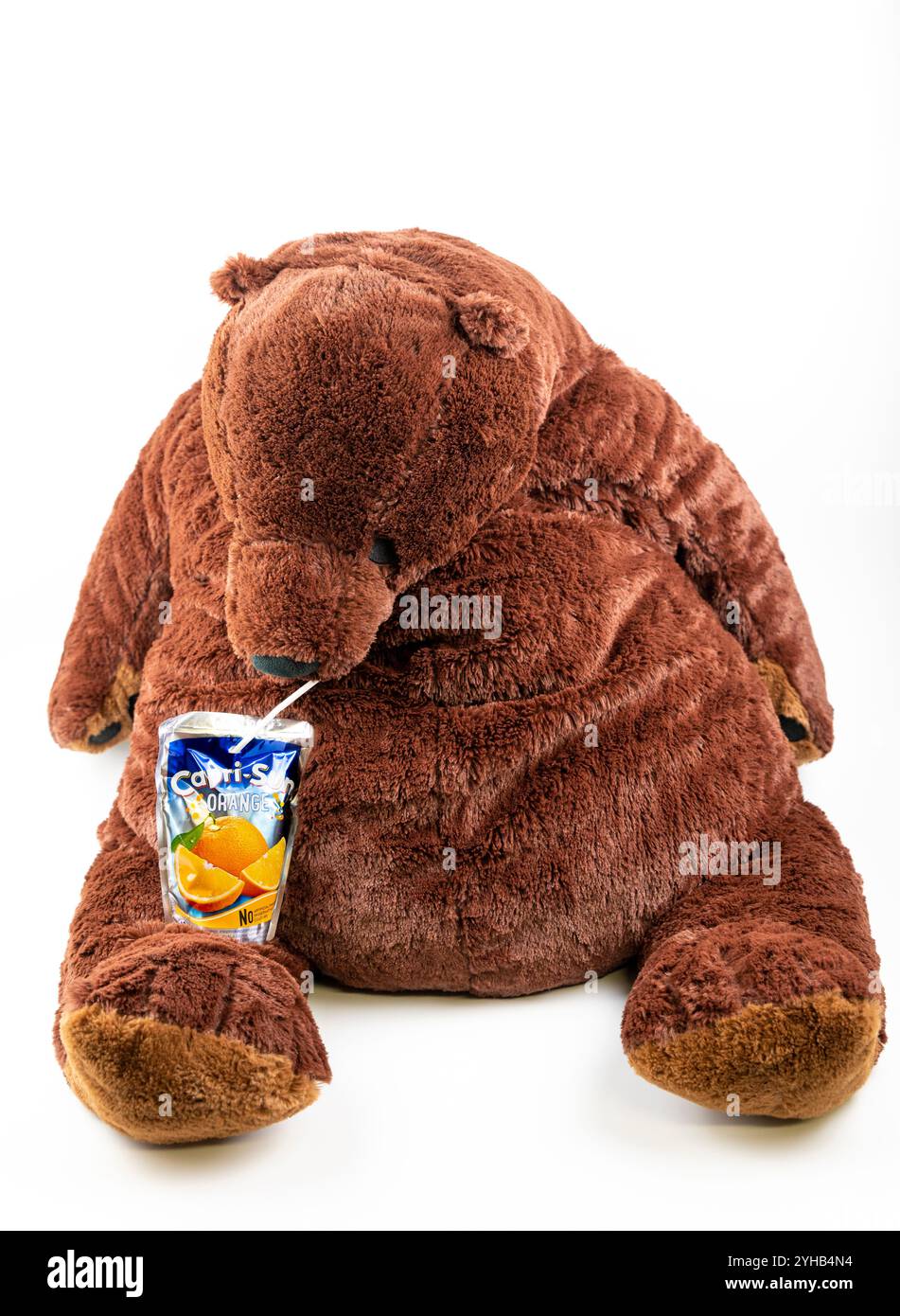 Nova Bana, Slovaquie - 8 novembre 2024 : Ikea DJUNGELSKOG gros ours brun jouet en peluche boire Capri Sun orange fruit drink . Banque D'Images