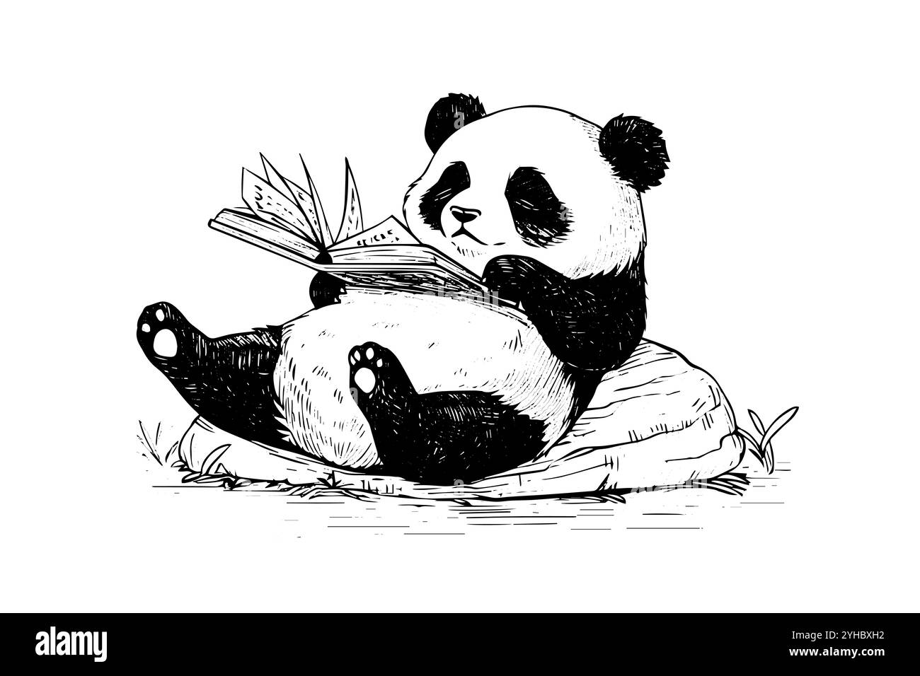 Panda lisant un livre dessin à l'encre dessiné à la main. Illustration vectorielle. Illustration de Vecteur