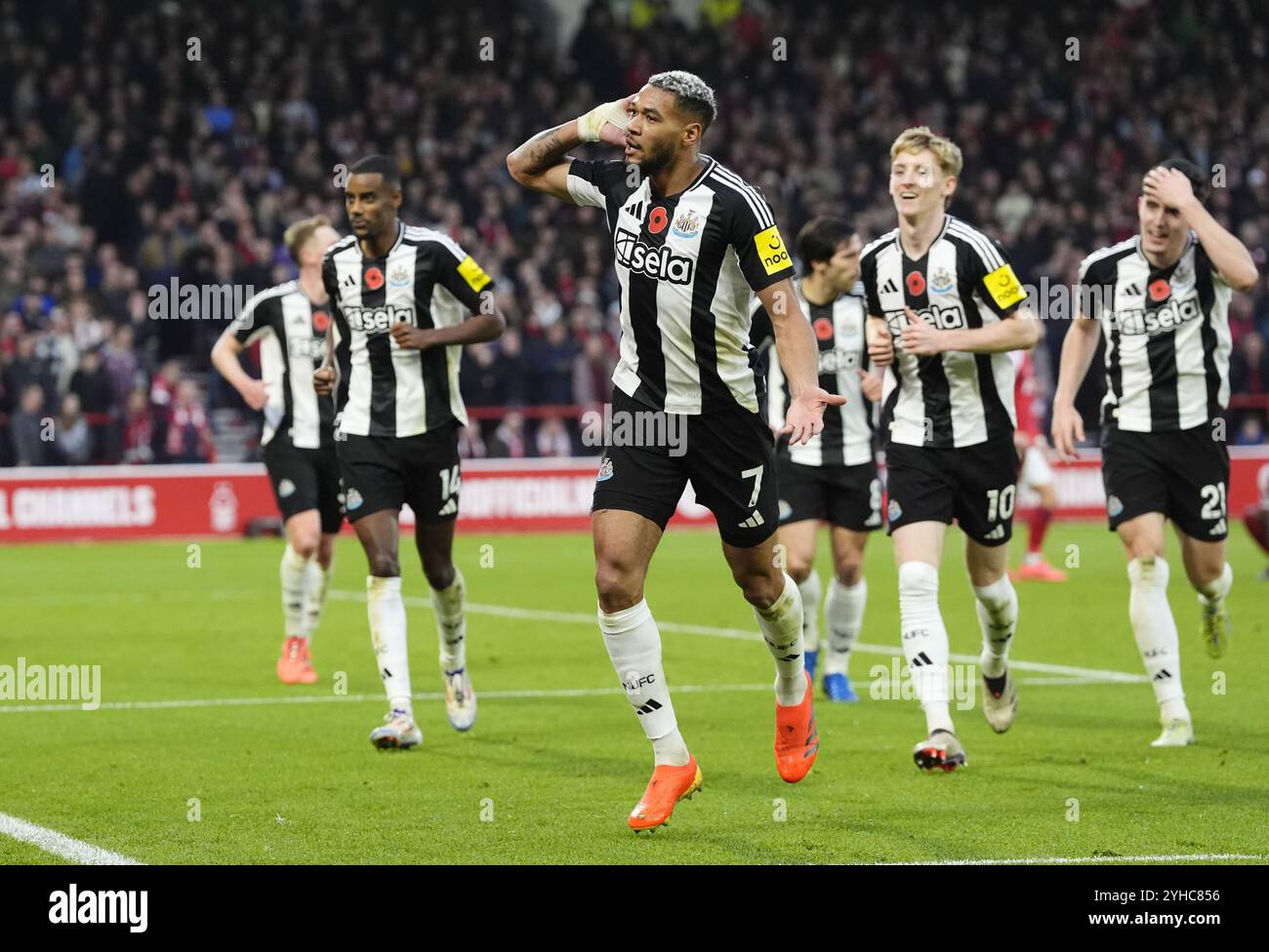 Photo du dossier datée du 10-11-2024 de Joelinton. Eddie Howe, patron de Newcastle, décrit Joelinton comme une « bête » après avoir contribué à inspirer la victoire de retour en 3-1 à Nottingham Forest. Date d'émission : lundi 11 novembre 2024. Banque D'Images