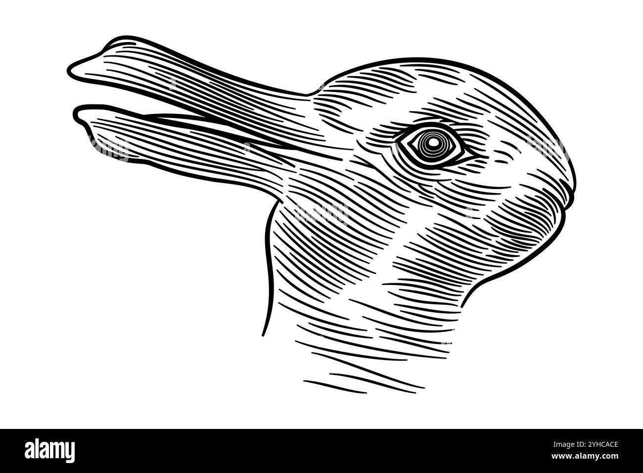 Illusion lapin-canard. Image ambiguë, figure réversible et illusion d'optique dans laquelle on peut voir un lapin ou un canard. Banque D'Images