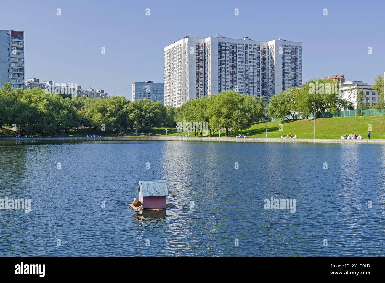 Maison de canard sur la surface de l'étang. District sud-ouest de Moscou (rue Vvedensky), Russie. Journée ensoleillée fin août Banque D'Images